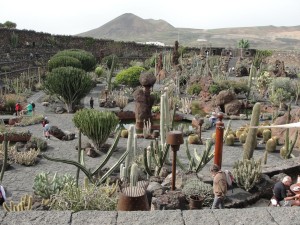 20150112125518 Ogród kaktusów w okolicy Guatiza