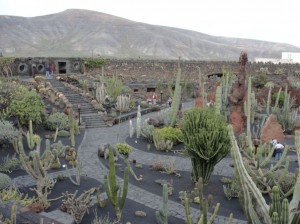 20150112123422 Ogród kaktusów w okolicy Guatiza            