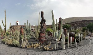 20150112130910_stitch Ogród kaktusów w okolicy Guatiza            
